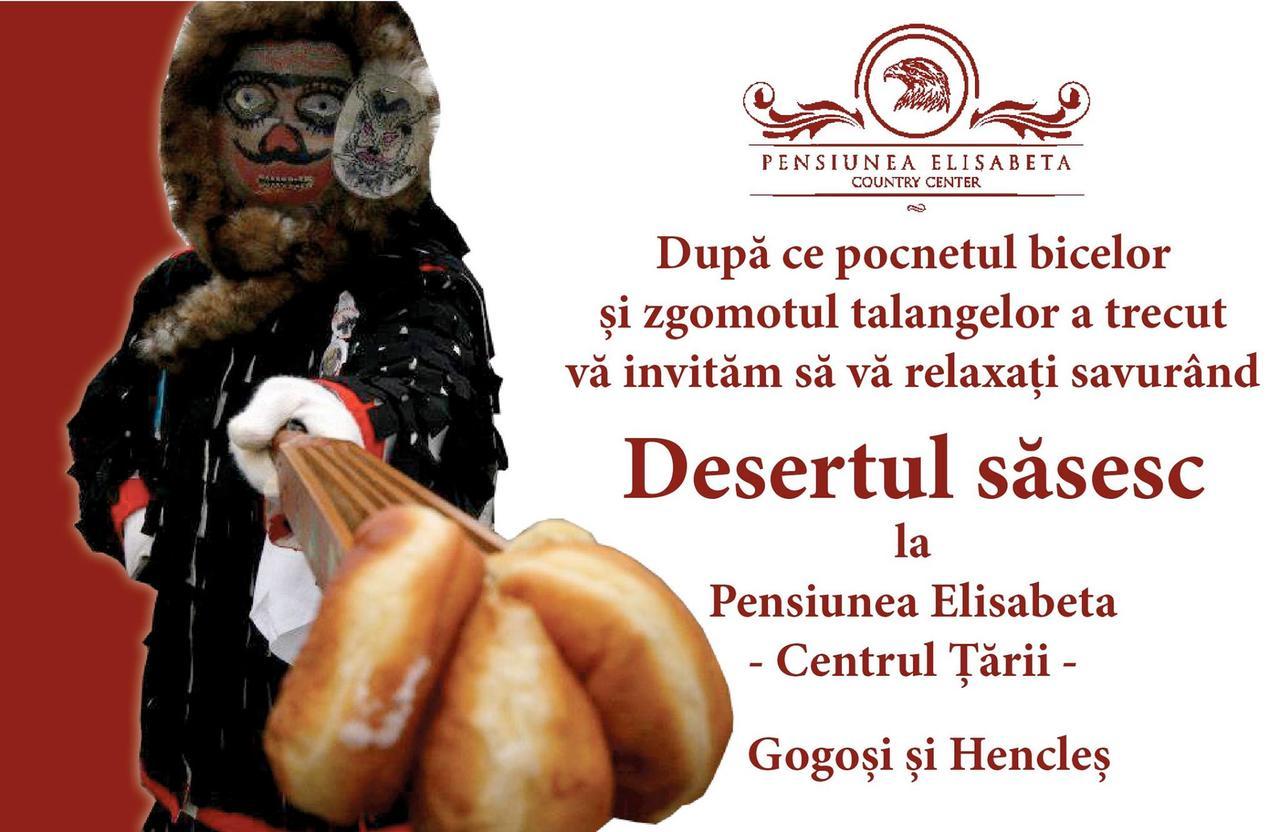 Pensiunea Elisabeta Merghindeal ภายนอก รูปภาพ