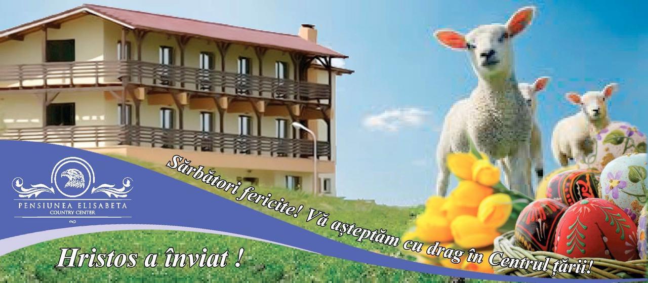 Pensiunea Elisabeta Merghindeal ภายนอก รูปภาพ